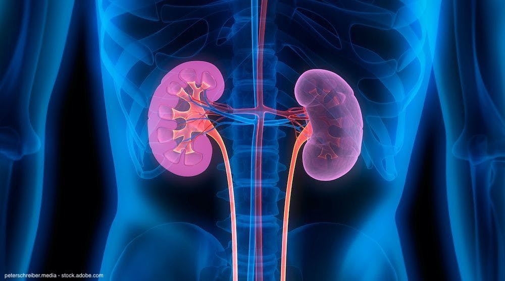 Study shows gender disparities in CKD detection and treatment